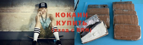 стаф Аркадак