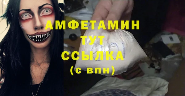 стаф Аркадак