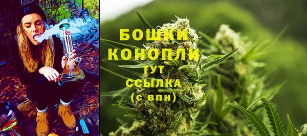стаф Аркадак