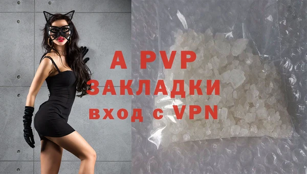 стаф Аркадак