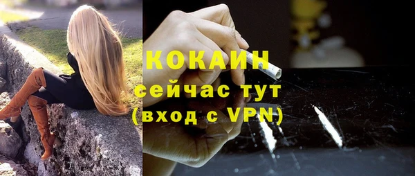 стаф Аркадак
