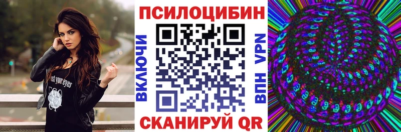 Псилоцибиновые грибы Psilocybine cubensis  Валдай 